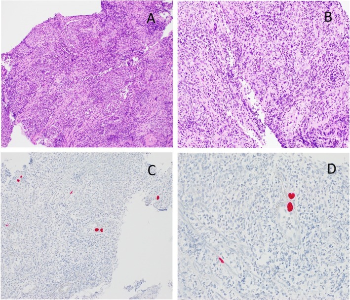 FIGURE 2