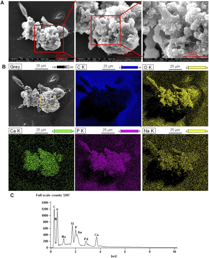 FIGURE 3