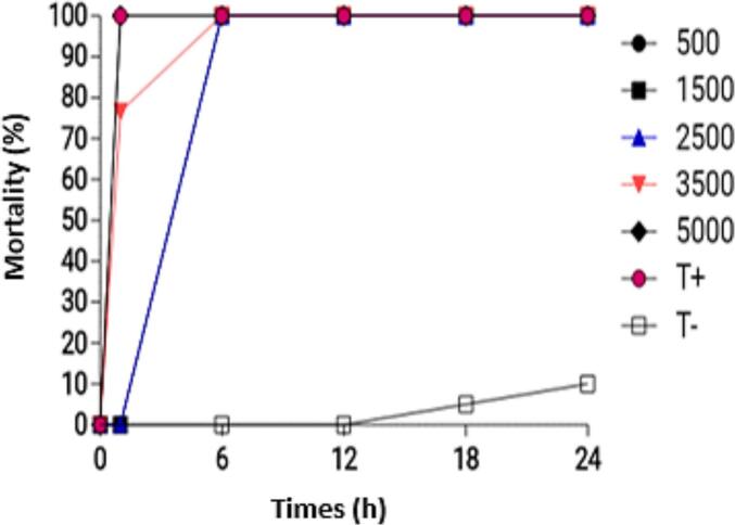 Figure 8