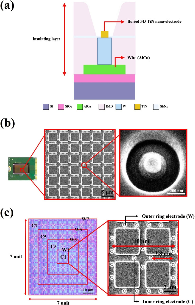 FIGURE 3