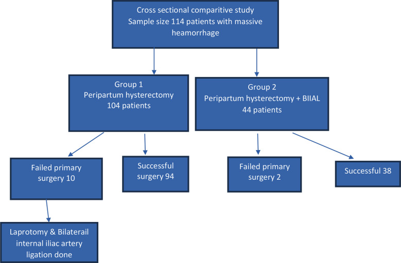 Fig.1