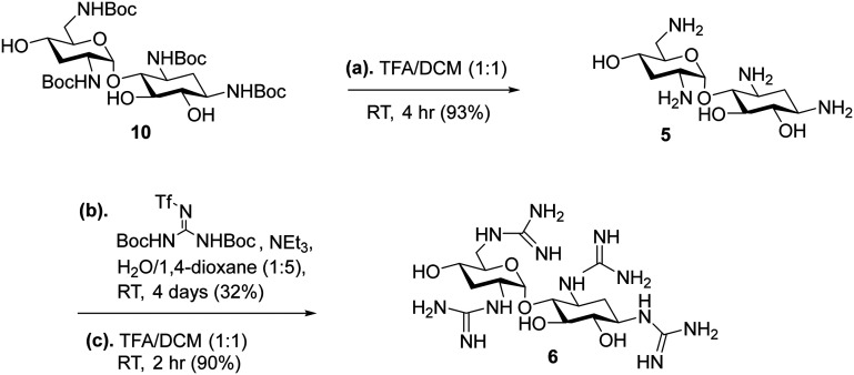 Scheme 3