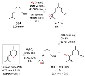 Scheme 2