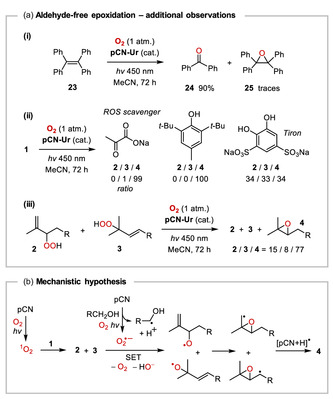 Scheme 4