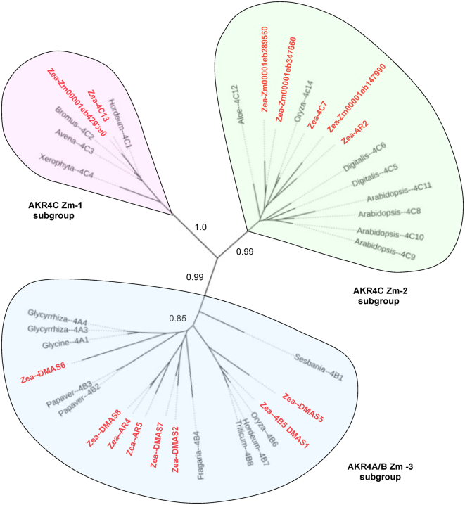 Figure 4