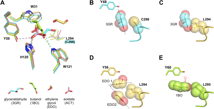 Figure 10