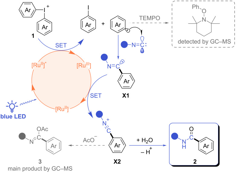 Scheme 4
