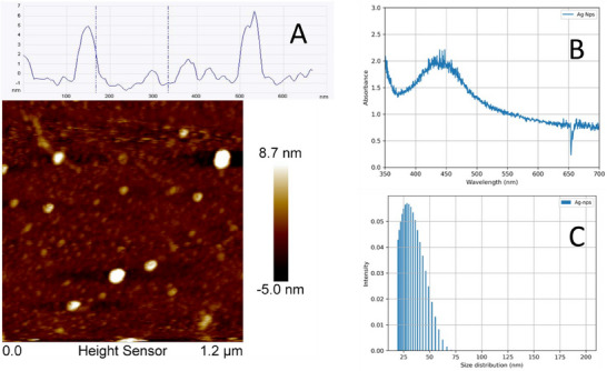FIGURE 1