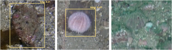 Fig 7