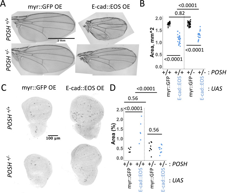 Fig 8
