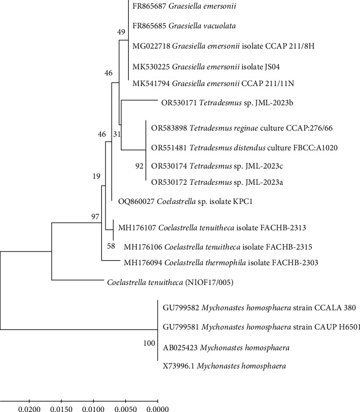 Figure 2