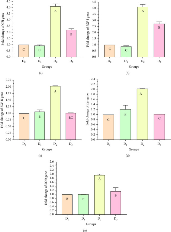 Figure 5