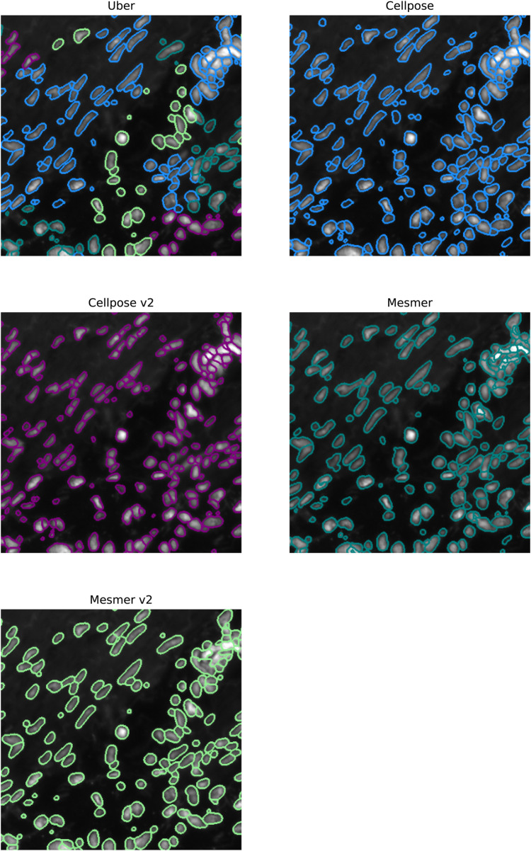 Figure 10