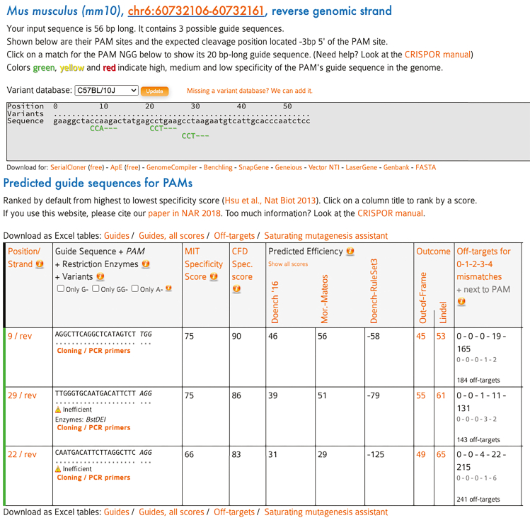 Figure 5