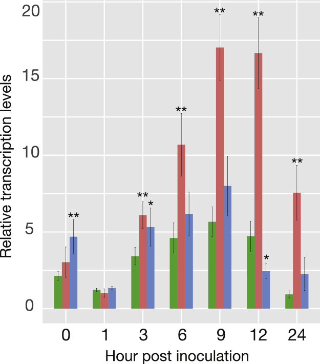 Figure 6