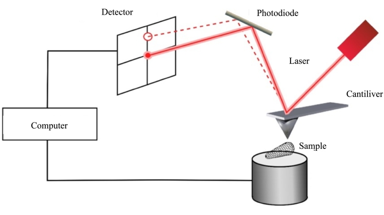Figure 9