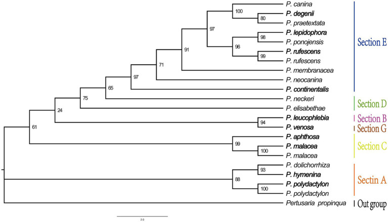 Figure 9