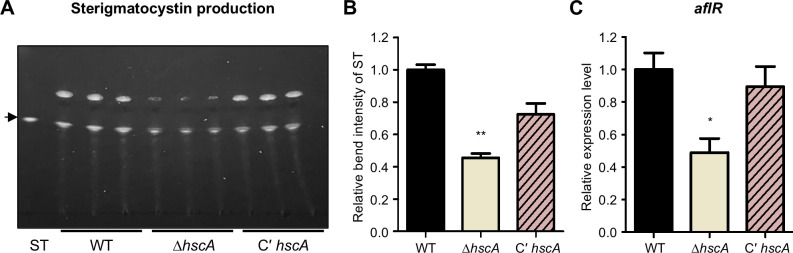 Fig 4