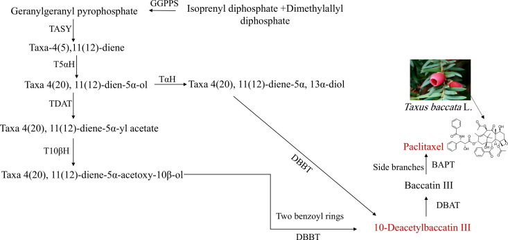 Fig 1