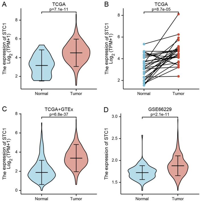 FIGURE 1