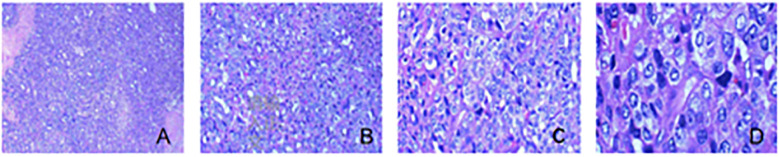 Figure 4