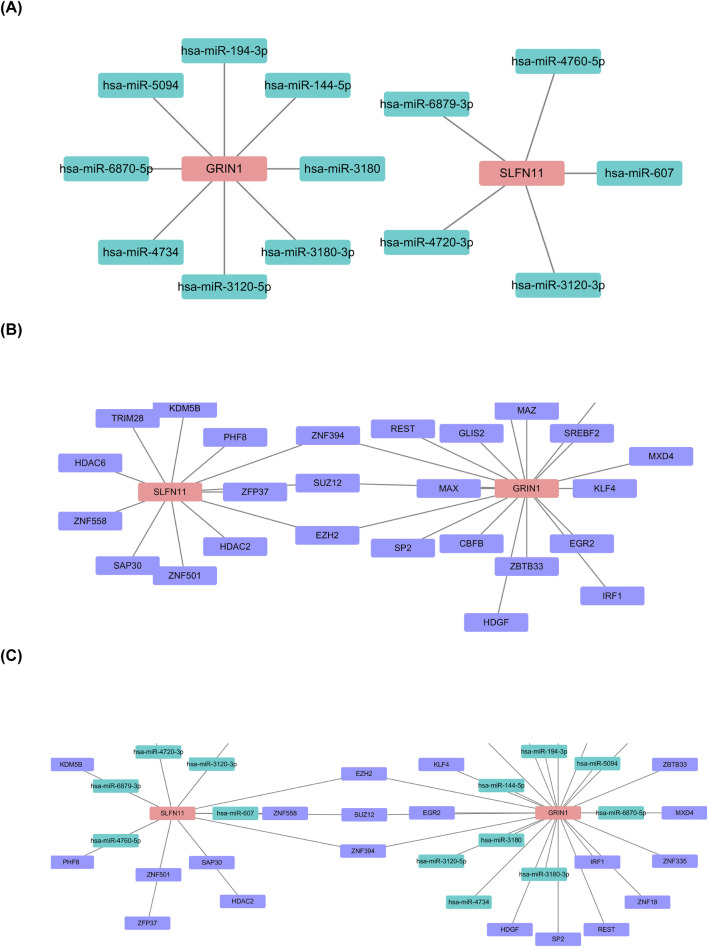 FIGURE 7
