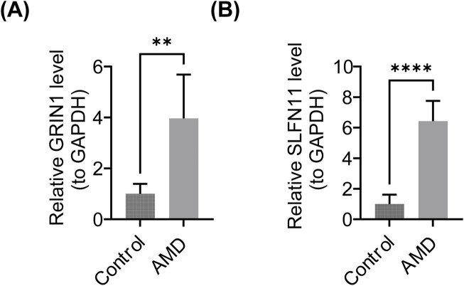 FIGURE 9