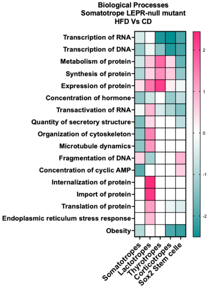 Figure 10