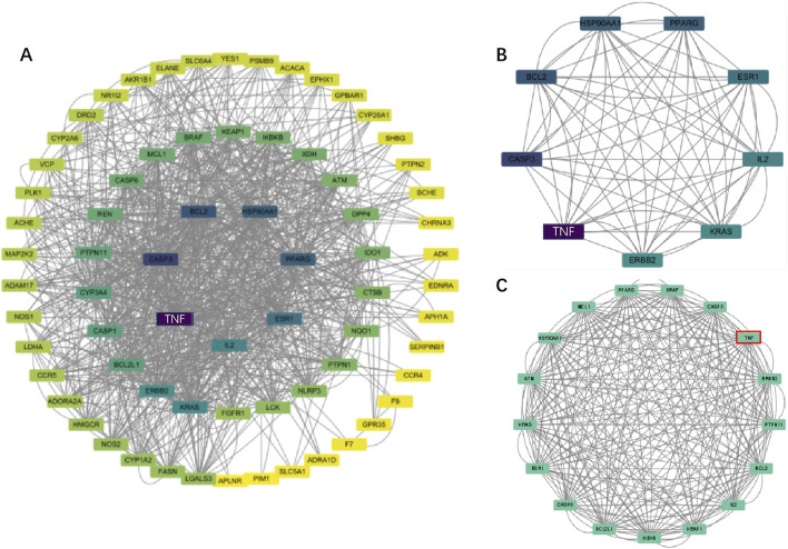 FIGURE 3