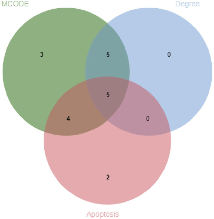 FIGURE 4