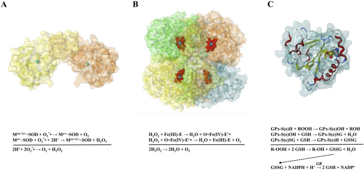 FIGURE 2