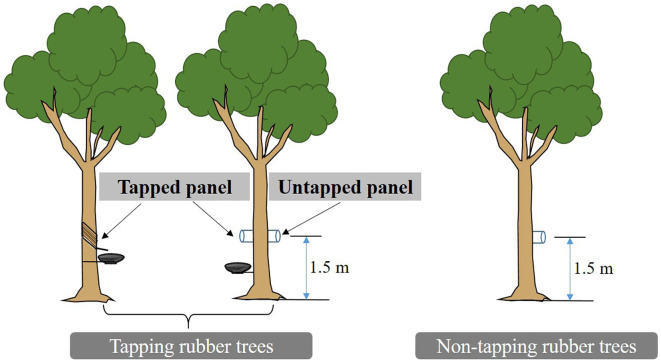 Figure 3