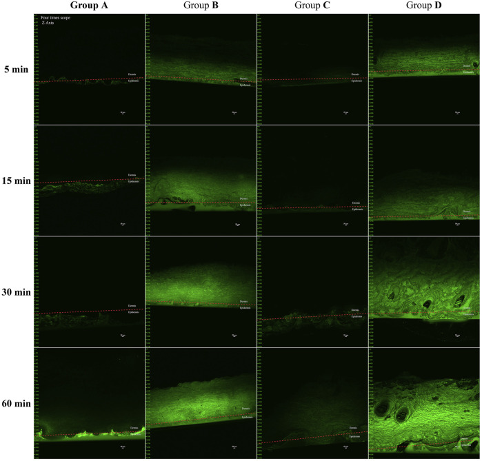 FIGURE 4