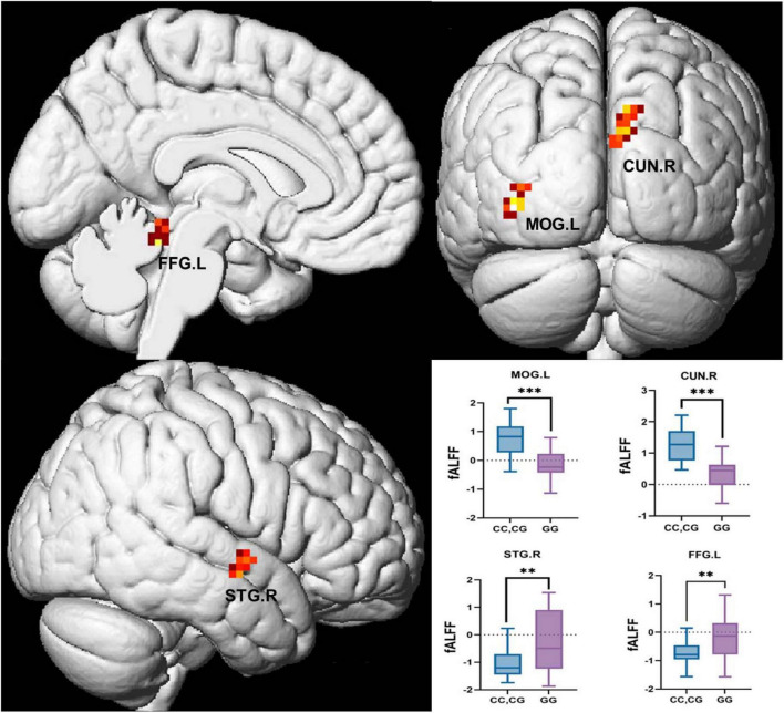 FIGURE 4