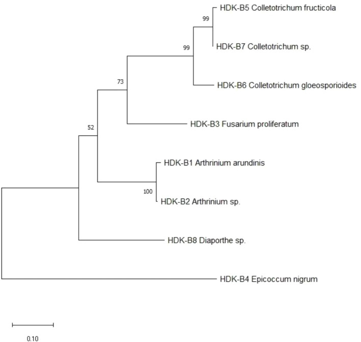 Figure 10