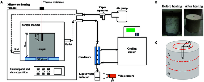 Fig. 10