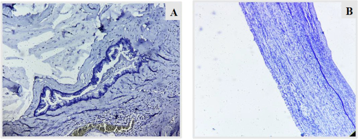 Fig. 9