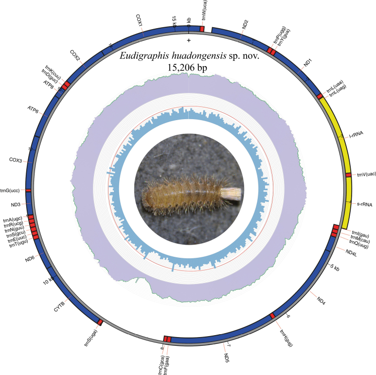 Figure 10