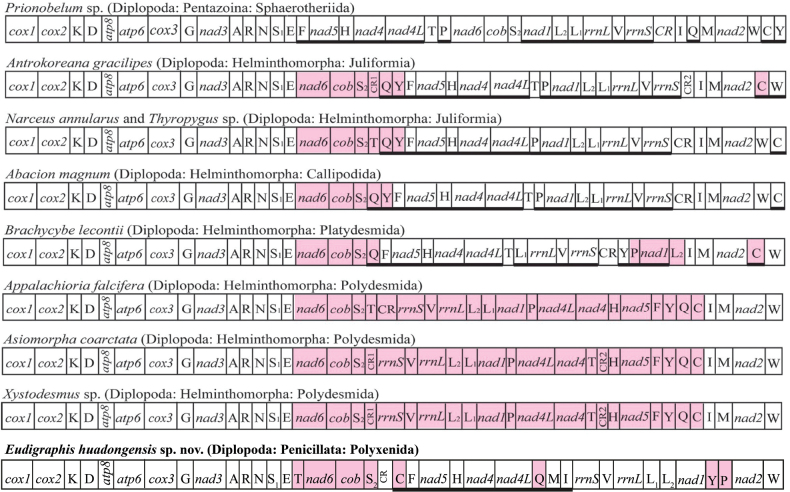 Figure 11