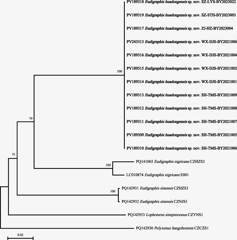 Figure 12