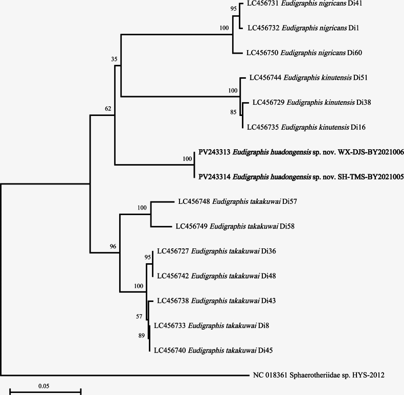 Figure 13