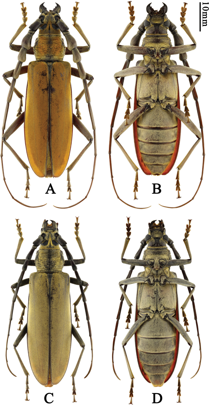 Figure 4