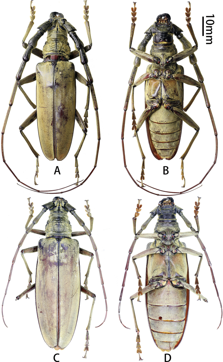 Figure 5