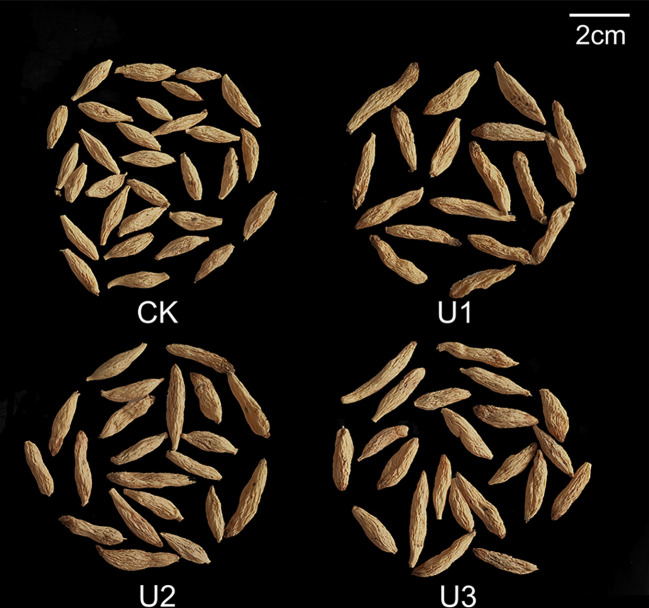 Figure 7