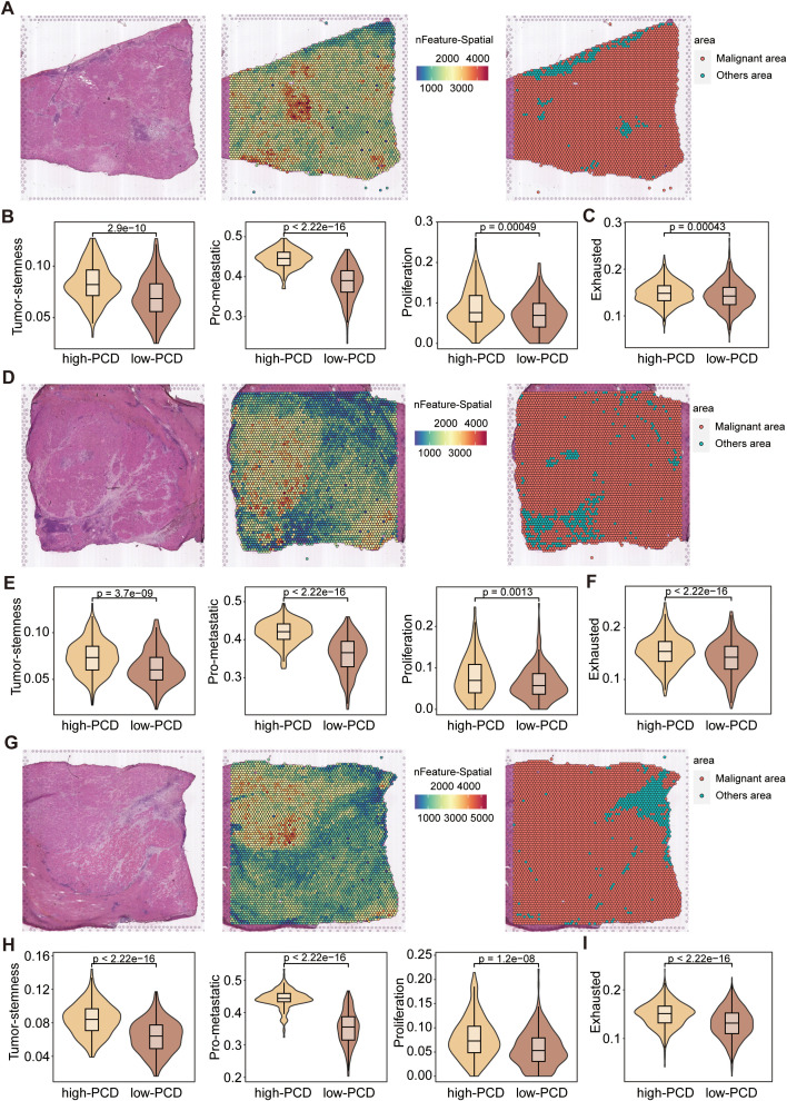 Figure 6