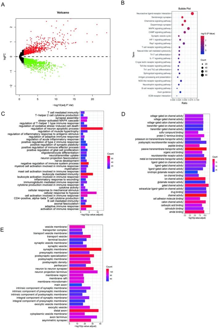 FIGURE 2