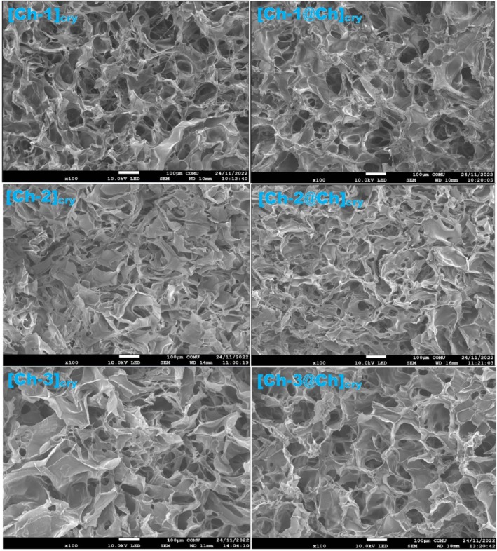 FIGURE 3