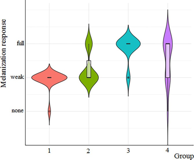 FIGURE 12