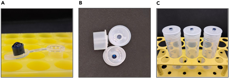 Figure 2