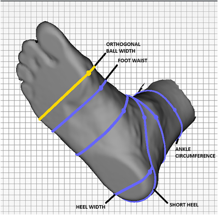 FIGURE 3